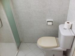 Oleander Towers (D12), Apartment #136298682